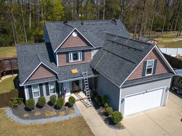 Roof Moss and Algae Removal in Manvel, TX